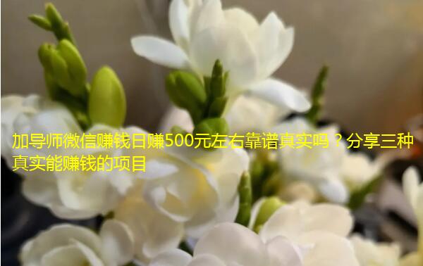 加导师微信赚钱日赚500元左右靠谱真实吗？分享三种真实能赚钱的项目